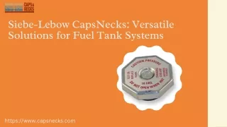 Siebe-Lebow CapsNecks Versatile Solutions for Fuel Tank Systems
