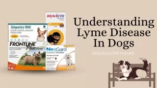 Understanding Lyme Disease In Dogs
