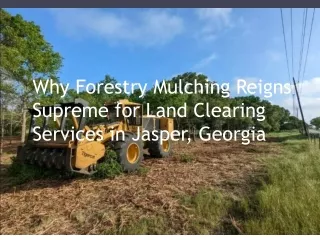 Why Forestry Mulching Reigns Supreme for Land Clearing Services in Jasper, Georgia