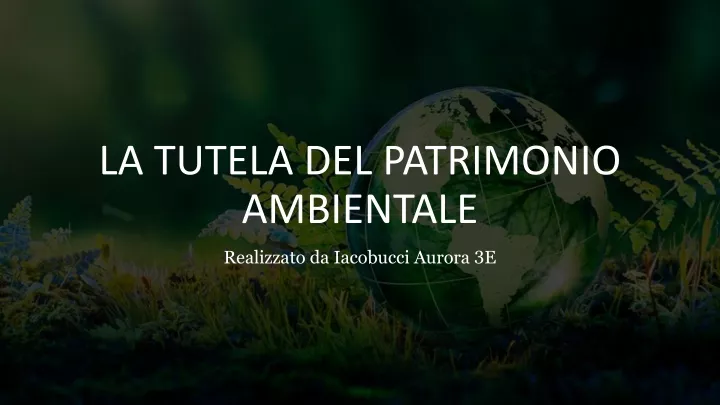 la tutela del patrimonio ambientale