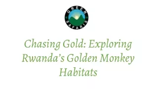 Chasing Gold Exploring Rwanda’s Golden Monkey Habitats