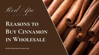 Reasons to Buy Cinnamon in Wholesale