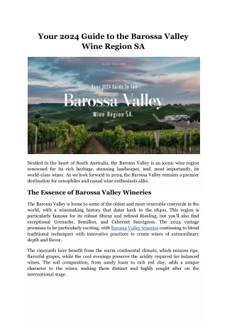 Your 2024 Guide to the Barossa Valley Wine Region SA