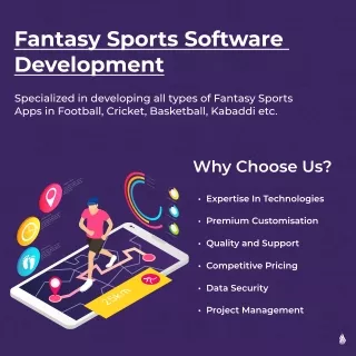 Fantasy sports software development - Sciflare