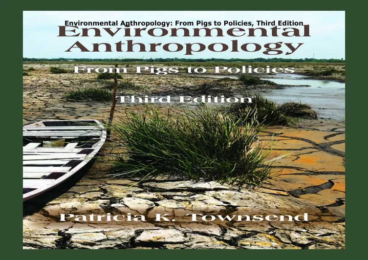 environmental anthropology from pigs to policies