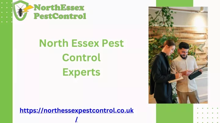 north essex pest control experts