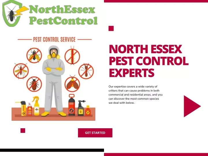 north essex pest control experts