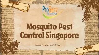 Mosquito Pest Control Singapore Expert Insights