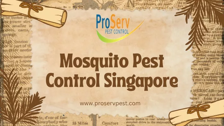 mosquito pest control singapore
