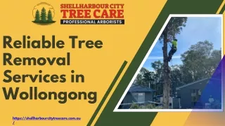 Reliable Tree Removal Services in Wollongong