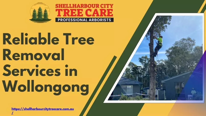 reliable tree removal services in wollongong