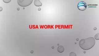 USA Work Permit-LWA