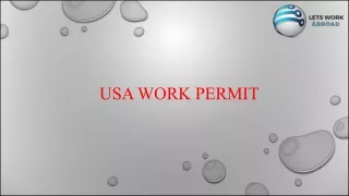 USA Work Permit-LWA