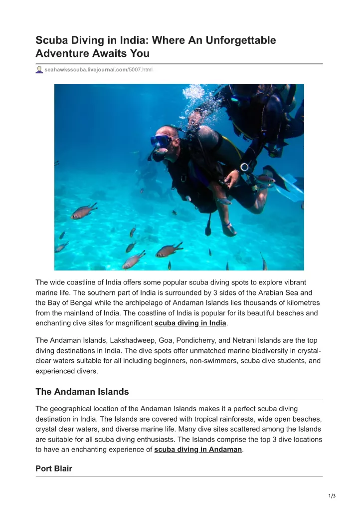 scuba diving in india where an unforgettable