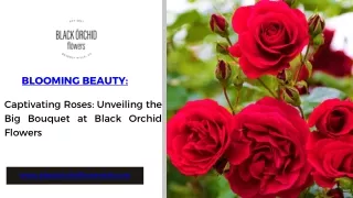 Elegant Roses for Sale: Explore Black Orchid Flowers' Exquisite Collection