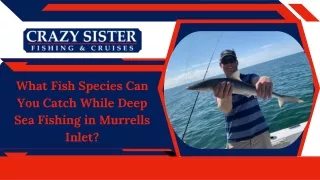 What Fish Species Can You Catch While Deep Sea Fishing in Murrells Inlet