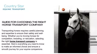 The Role of a Horse Transport Company in Ensuring Smooth and Efficient Travel