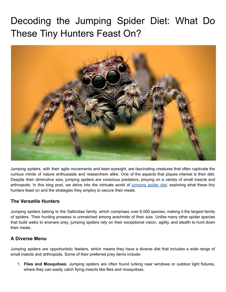 decoding the jumping spider diet what do these