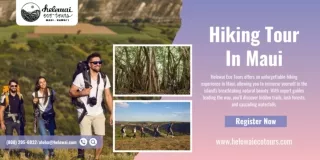 Hiking Tour In Maui