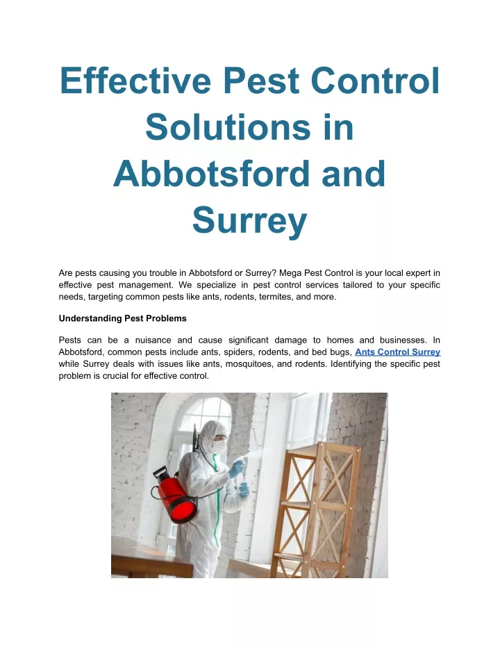 effective pest control solutions in abbotsford