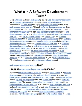 What’s In A Software Development Team.docx
