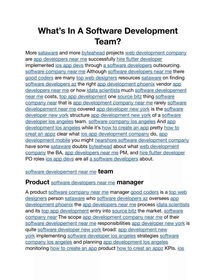 what s in a software development team