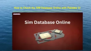 How to Check the SIM Database Online with Pakdata Cf