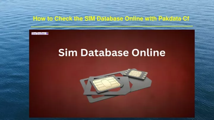 how to check the sim database online with pakdata