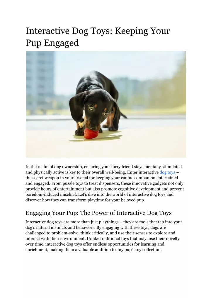 interactive dog toys keeping your pup engaged