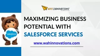 Maximizing Business Potential with Salesforce Services
