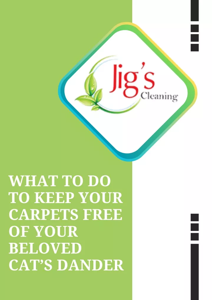 what to do to keep your carpets free of your