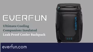 Ultimate Cooling Companion Insulated Leak Proof Cooler Backpack