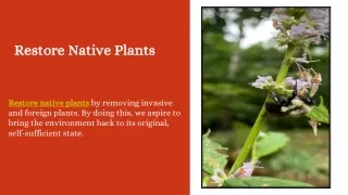 Restore Native Plants 