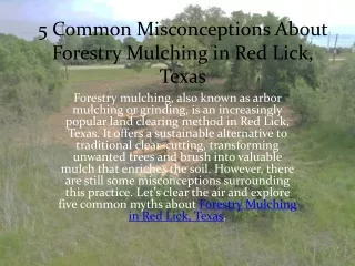 5 Common Misconceptions About Forestry Mulching