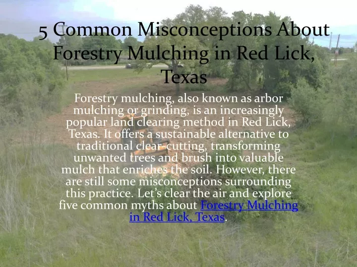 5 common misconceptions about forestry mulching in red lick texas