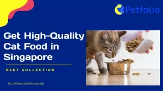Get High-quality Cat Food in Singapore - Best Collection