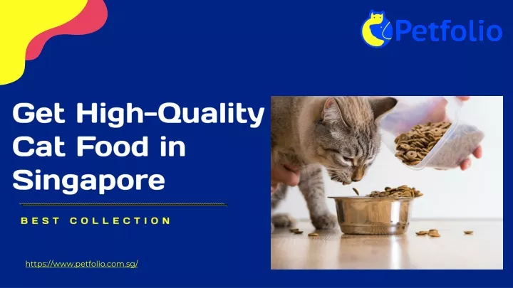 get high quality cat food in singapore