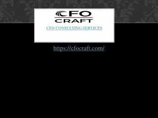 CFO Consulting Services