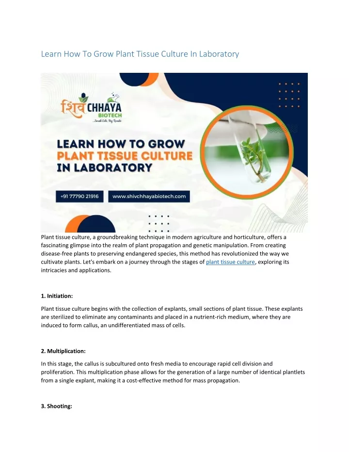 learn how to grow plant tissue culture