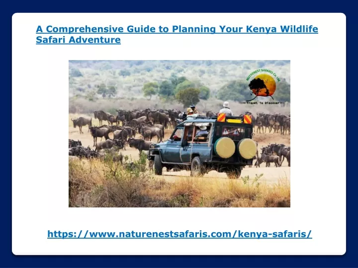 a comprehensive guide to planning your kenya