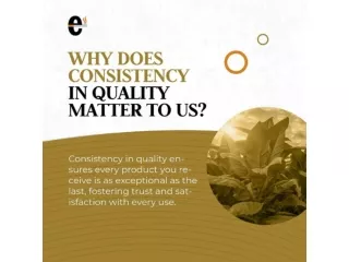 Why Does Consistency in Quality Matter to Use?