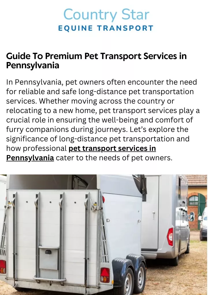 guide to premium pet transport services