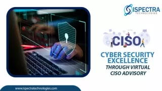 Cyber security Excellence through Virtual CISO Advisory