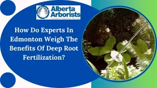How Do Experts In Edmonton Weigh The Benefits Of Deep Root Fertilization