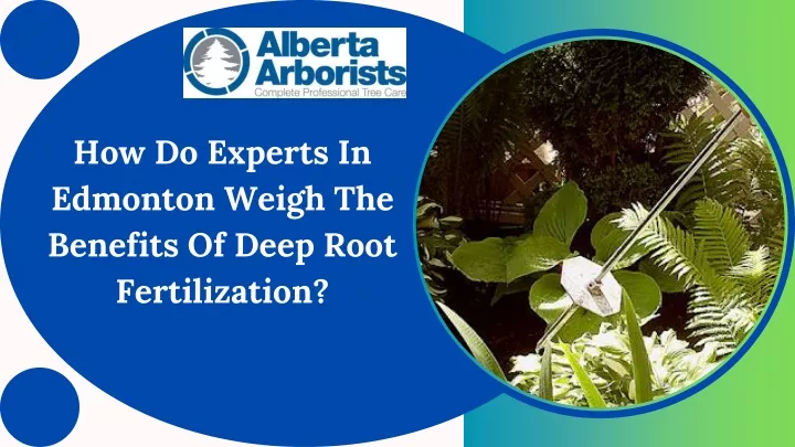how do experts in edmonton weigh the benefits