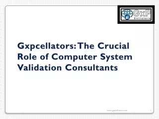 Gxpcellators The Crucial Role of Computer System Validation Consultants