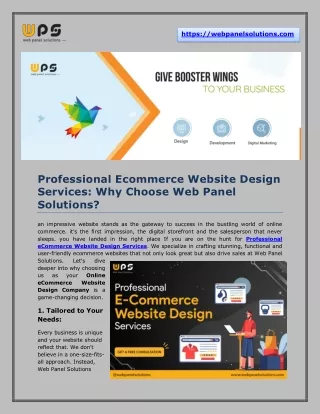 Professional eCommerce Website Design Services - Web Panel Solutions