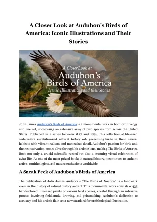 A Closer Look at Audubon's Birds of America_ Iconic Illustrations and Their Stories