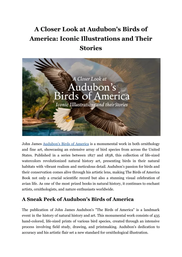 a closer look at audubon s birds of america