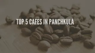 Top 5 cafes in Panchkula